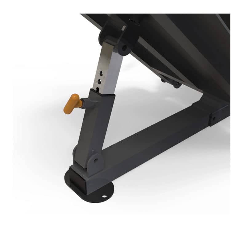 Ion Fitness - Macchina per Squat e Pressa per Le Gambe Compatibile con Dischi Olimpici - Supporta Fino a 200 kg - Pressa da Palestra con Angolo Regolabile - Struttura in Acciaio Inossidabile