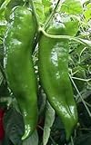 Cowhorn Hot Pepper - 20 Seeds