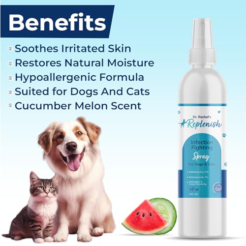 Replenish Skin Soothing Spray for Pets - Hot Spot Spray Treatment for Dogs - Dr. Rachel\'s Chlorhexidine, Ketoconazole, and Aloe Vera Formula for Dermatological Care in Dogs, Cats, and Horses - 8 oz - Thumbnail 2