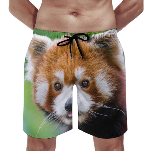 Pantalon court de plage homme ratons laveurs fini les irritations