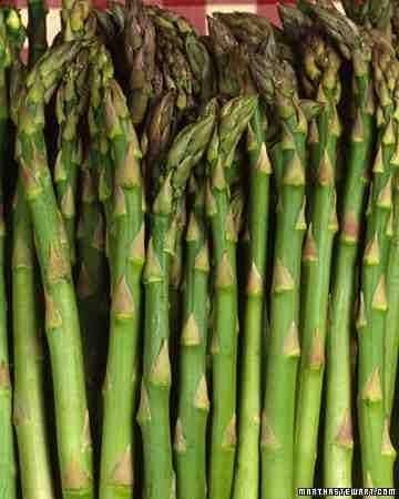 Radha Krishna Agriculture Asparagus Herb Seed F1 Hybrid Pack For Home Garden Planting And Gardening (Pack Of 1 Paket) (Asparagus).