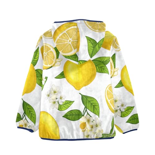 Fresh Lemon Fruit Set Girls Fleece Jacket Girls Fall Jacket Girls Zip Up Hoodie Girls Sherpa Jacket 2-10T2