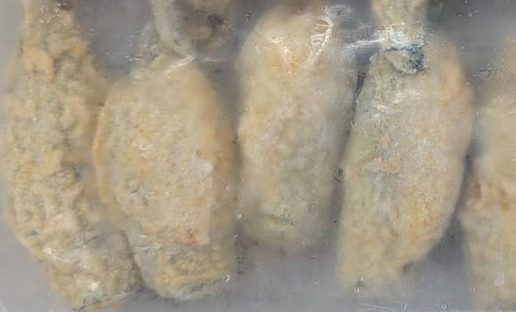 Okracorn Tempura, 11.3 oz (320 g) (16 Pieces), Frozen, Side Dishes, Bento Box, Easy Cooking