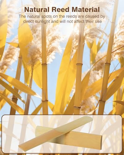 Image of New bee 10pcs Bb Clarinet Reeds Strength 1.5 Individually Packed with Reed Case, Thinner Reed Tip Advanced Cutting Technology for Clarinet Beginner and Player