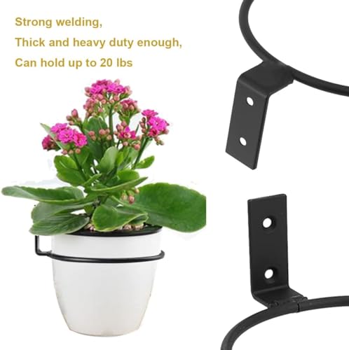 TORO Plant Holder Ring 8 Inch Wall Mounted, Flower Pot Hangers Metal Plant Stand Hanging Bracket Basket Hooks (Pack 06) (Black)