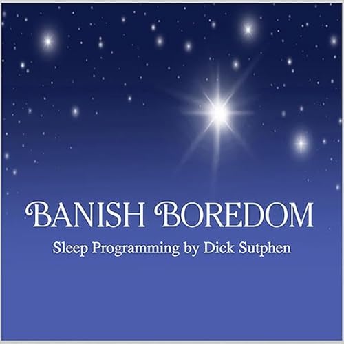 『Banish Boredom Sleep Programming』のカバーアート
