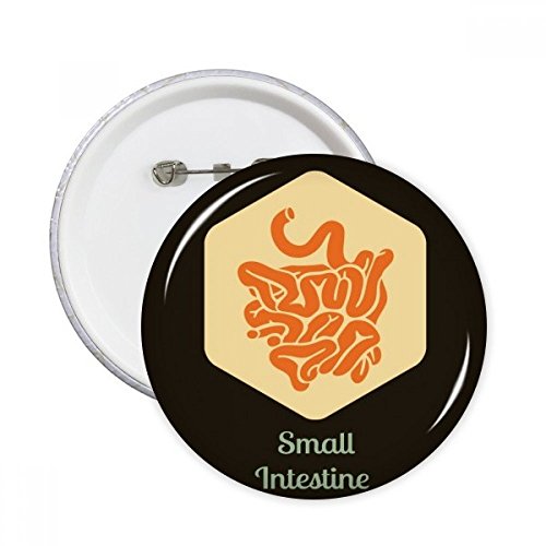 Pins bouton badge petit intestin rond décoratif multicolore taille S