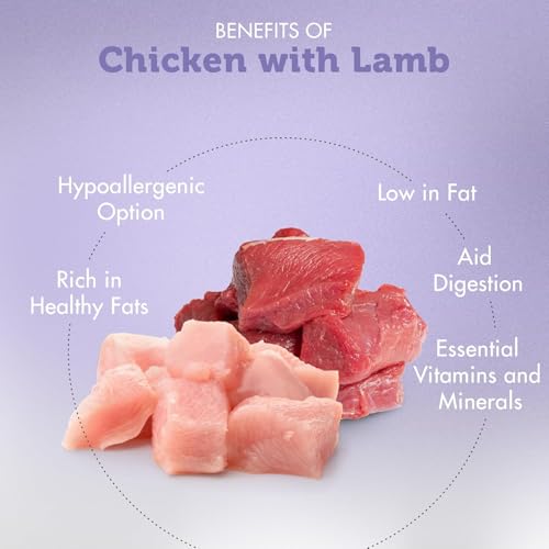 Nature's Protection Hundenassfutter mit Huhn & Lamm - Getreidefreies Hundefutter mit Omega-3 & Taurin - Für Erwachsene Hunde - Starke Muskeln & gesundes Fell (22 x 100g)