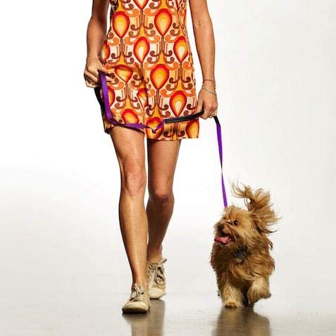 Warner Braided Nylon Rope British Slip Lead Dog Leash 1/2