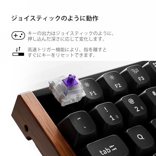 Keychron K2 HE ラピッドトリガー ワイヤレス カスタムキーボード の商品画像 5