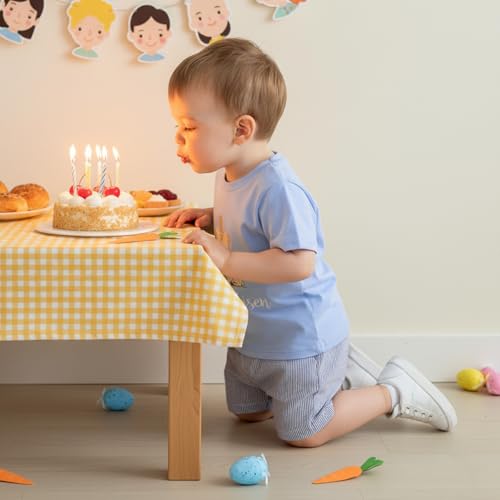 Image of Kavousa Toddler Boy Easter Outfit Baby Boy Bunny Short Sleeve T Shirt And Shorts Set 2 Piece Spring Summer Clothes