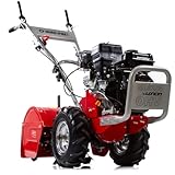 IMJ-Global B0F2N2XBQY lato 2