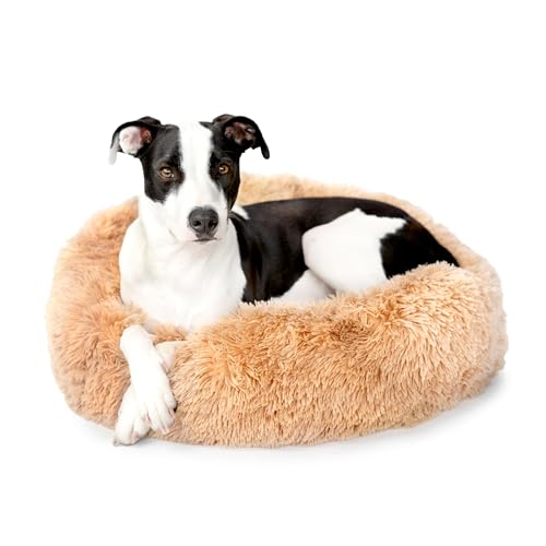Barkbox Dog Bed, 2-in-1 Memory Foam Donut Cuddler Dog and Cat Bed, Calming Orthopedic Joint Relief Fur Crate Lounger for Pets, Machine Washable + Removable Cover, Waterproof Lining, Includes Toy