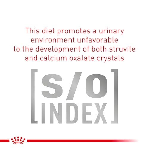 Royal Canin Veterinary Diet Canine Gastrointestinal Low Fat Adult Loaf Dog Food, 13.5 oz (Pack of 12) by ROYAL CANIN - Image 5