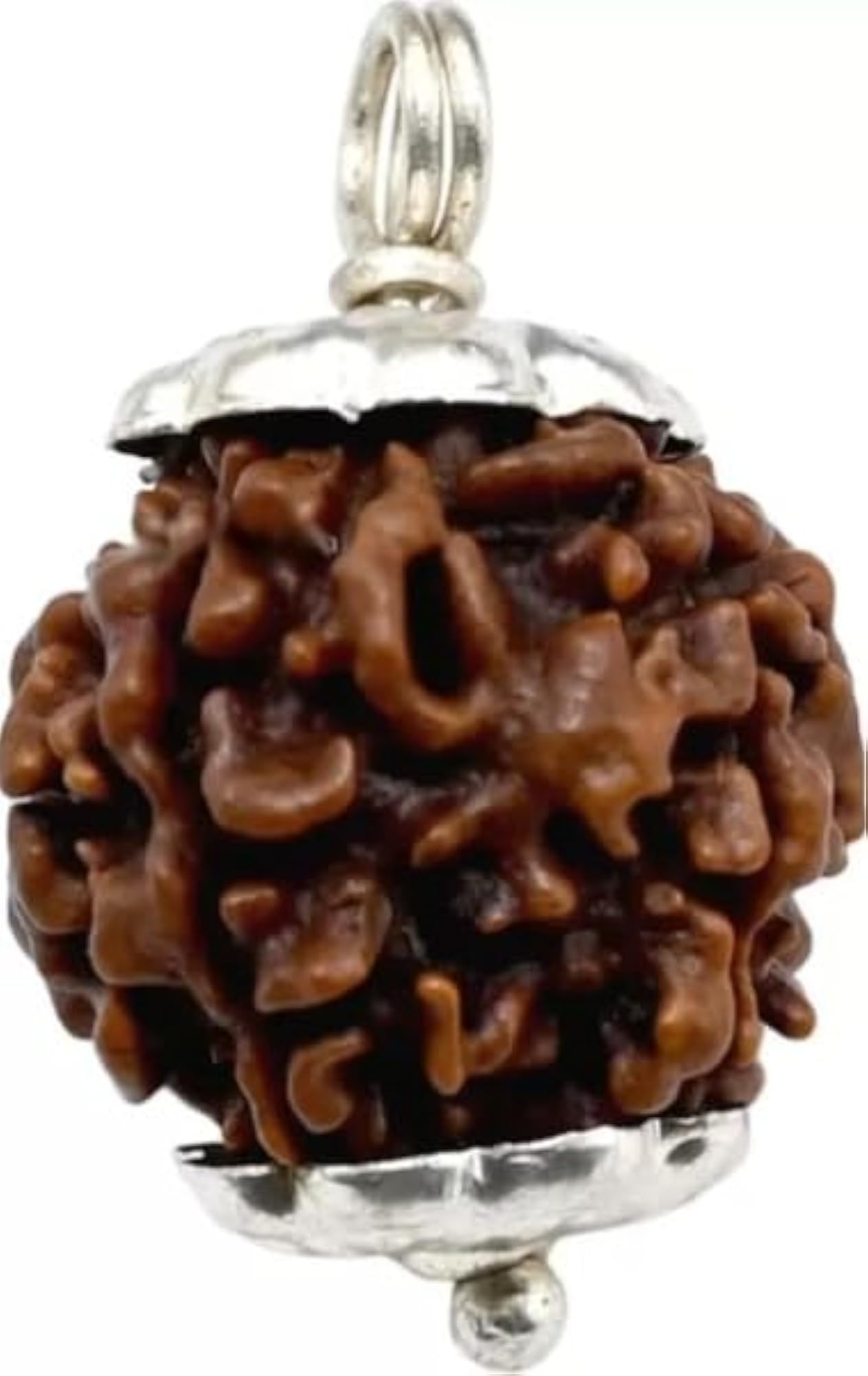 Pure Char Mukhi Rudraksha Bead, Certified