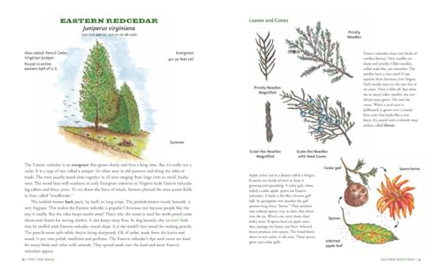 The Tree Book for Kids and Their Grown-Ups - Image 7