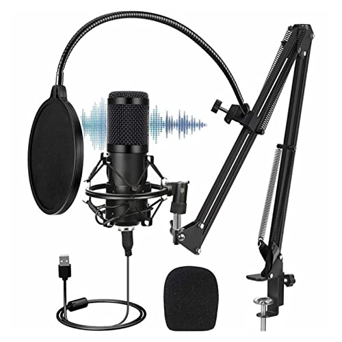 Microphone USB 192KHZ/24BIT à condensateur avec trépied de table stable