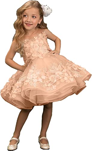 Short Lace Applique Pageant Dresses for Girls Poofy Flower Girl Dress for Wedding Toddler Ball Gown
