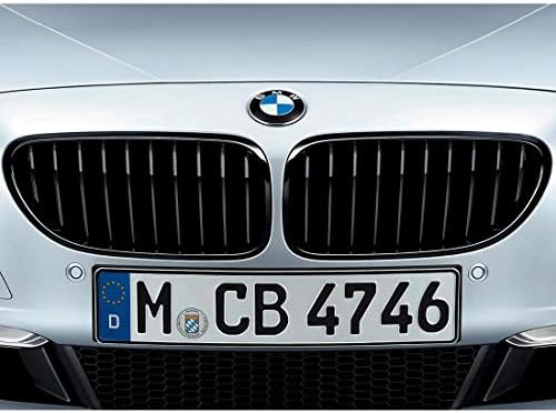 Amazon.com: BMW 51712287953 M Performance Gloss Black Kidney 