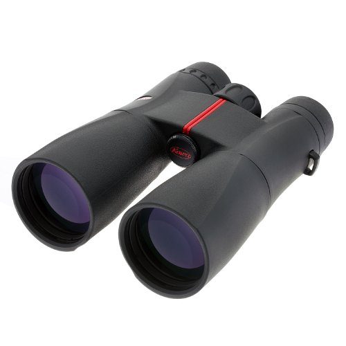 Kowa Sv Series Roof Prism Binoculars, 12X50 Black #TOP2