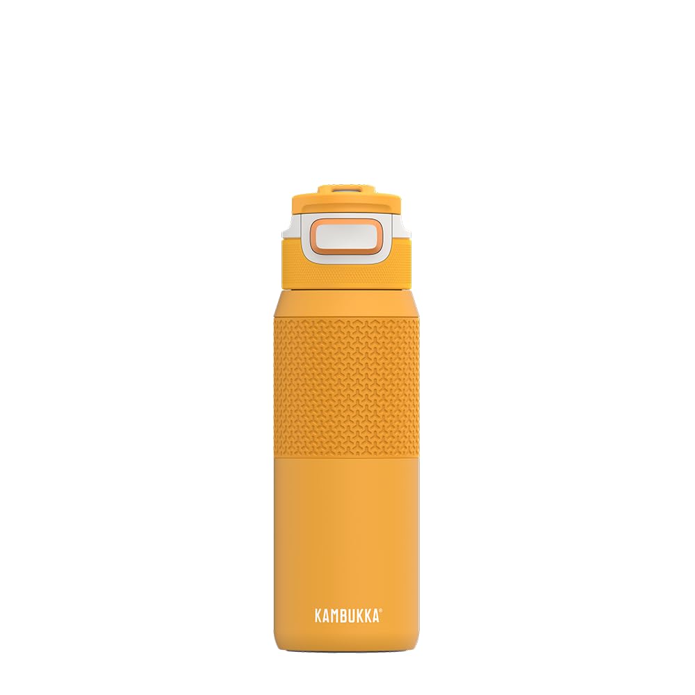 Kambukka Elton 750ml / 25oz Insulated Drinking Water Bottle, Stainless Steel Thermos, Waterproof with Dishwasher Safe Lid and Snapclean Technology, Easy to Hold, Comfortable Grip - Mango Maniac