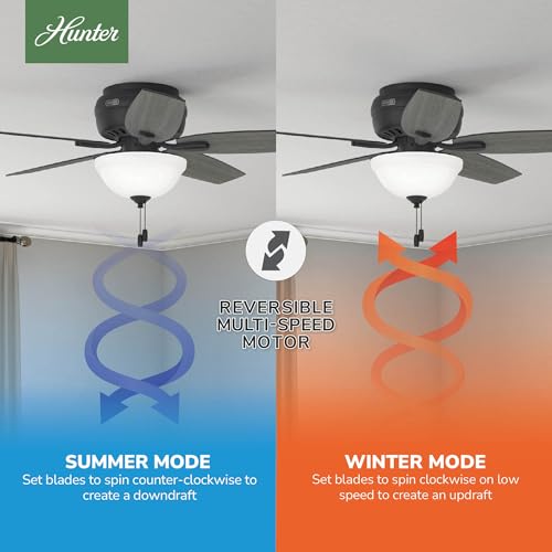 Image of Hunter Newsome, Indoor, Ceiling Fan, with LED Light, 52 inch, Matte Black