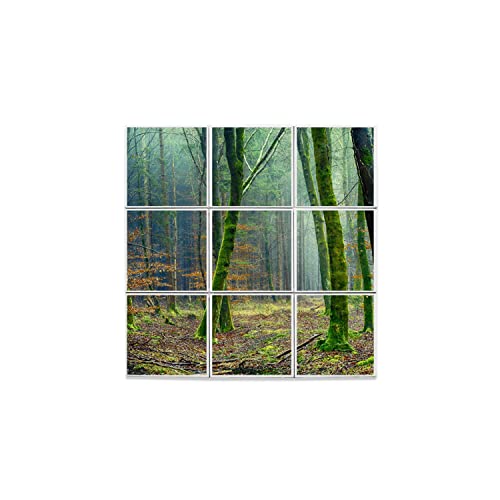 Carreaux céramique décoratifs paysage de forêt avec finition brillante haute définition