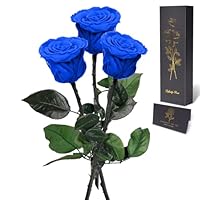 Yamonic Echte eeuwige roos cadeau voor dames, echte roos met stelen, cadeau-ideeën voor verjaardag, Valentijnsdag, cadeau voor vrouwen, cadeau voor moeder of Kerstmis Yamonic Echte eeuwige roos cadeau voor dames, echte roos met stelen, cadeau-ideeën voor verjaardag, Valentijnsdag, cadeau voor vrouwen, cadeau voor moeder of Kerstmis