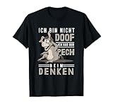 Trottel & Idioten, Intelligenz Selbstironie Motive