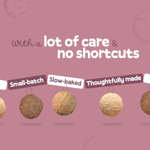 Image of Hungry Bums Ragi Biscuits 160gm (10 Biscuits) | High Fibre & Calcium Millet Cookies | No Maida, No Added Sugar, No Preservatives, No palm oil | Ready to eat | Healthy Snacks for Kids & Adults