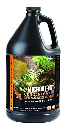 Microbe-Lift BSEPG4 konzentrierter Gerstenstroh-Extrakt Plus flüssiger Torf-Conditioner für Teiche und Wassergarten im Freien, sicher für lebende Koifische, Pflanzen und Dekorationen, 3,8 l