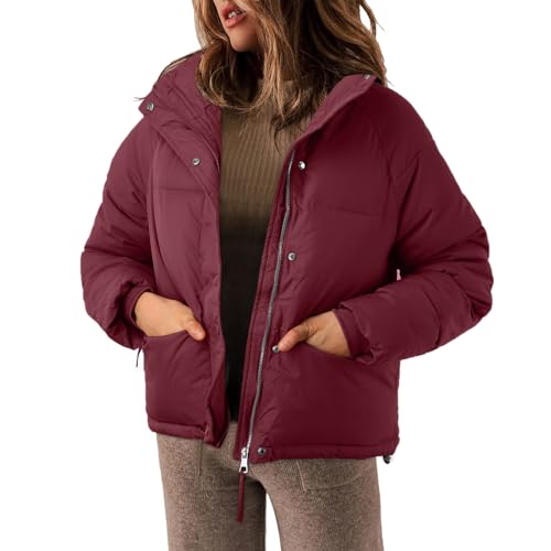 Abrigo de invierno holgado chaqueta de algodón grueso para mujer 2