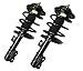 DTA 50095 Front Complete Strut Assemblies With Springs and Mounts Ready to Install OE Replacement 2-pc Pair Fits 2004-11 Aveo, 2006-11 Aveo5, 2009 G3, 2005-2008 Pontiac Wave, 2004-2009 Suzuki Swift+