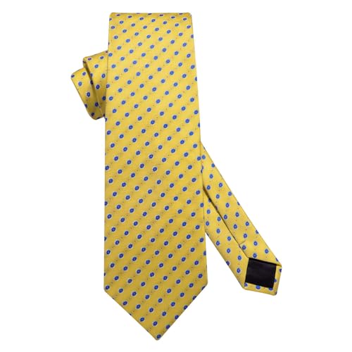 Image of HISDERN Ties for Men Paisley Tie and Pocket Square Woven Classic Floral Mens Ties Handkerchief Set Wedding Party Necktie