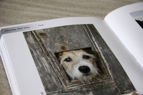 A Year in the Life of Faversham: A Photographic Record of the Town's Every Day Life by Local Photographers