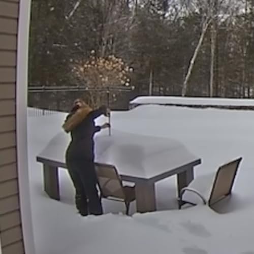 Pod Pick: DOT Recap, Jennifer Measures the Snow for Scot Haney Podcast Por  arte de portada