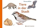 Gerstenberg Verlag