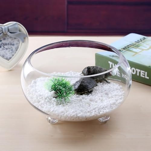 AOBOPO�����K���X���~�`������ ���p�����Z�b�g �������_�J�x�^�T�Ή� ���k�͔|���\ �ƒ�p���^�A�N�A���E�� ���r���O�f�X�N�g�b�v�C���e���A �Ϗܗp�ی^�e�� ����K���X�O�_�x������݌v