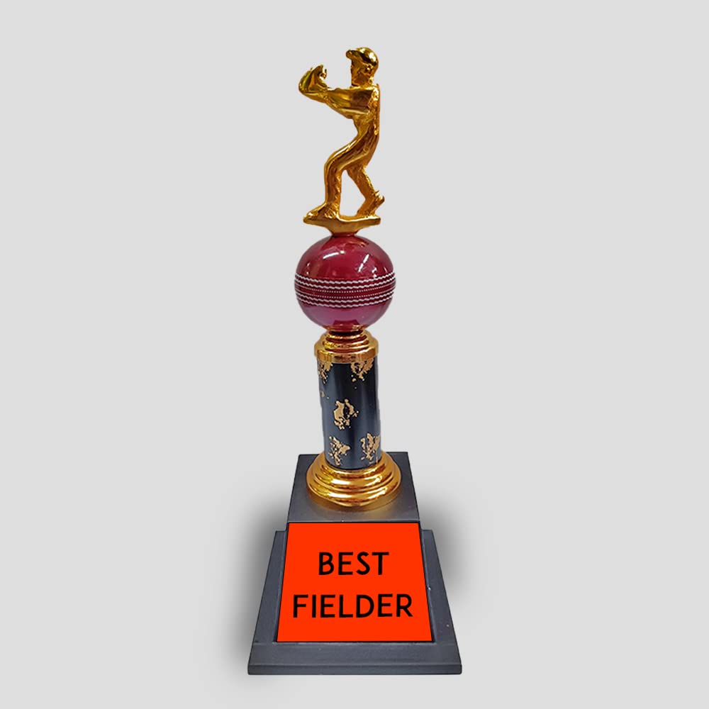 Bareeze Pure Best Fielder Trophy for Cricket Fielder Trophy (B0C6R3Z49Q) Amazon Price History, Amazon Price Tracker