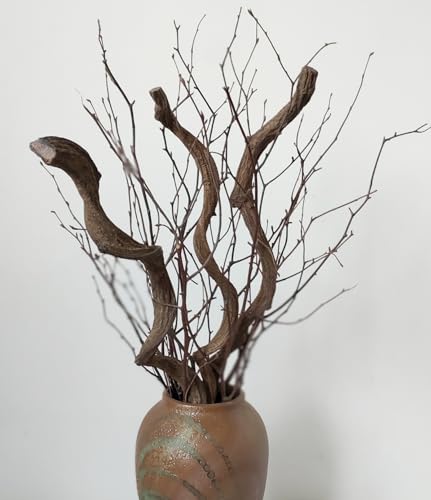 Stile: il design della vite in rattan essiccato naturale sembra molto retrò, simboleggia il potere della vita è infinito.
