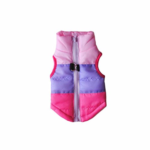 Ropa cálida con hebilla para perro, resistente al viento, abrigo para mascotas, chaleco acolchado de invierno para perros pequeños, rojo, XS