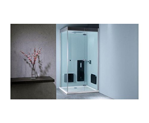 Repabad Atlanta Dampfpaneel Dampfgenerator für Dampfbad Dampfdusche Snow-3