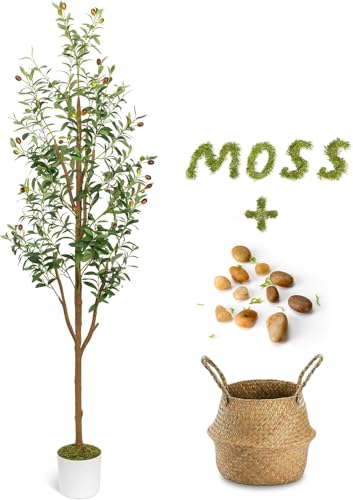 GL]`bNȃhCt[u[P4-7tB[glHI[u̖؁Aƒ둕̂߂̌Iȑ傫ȋŨI[u̖؃rO[|[`̑AQ̑A_CjOe[ui4tB[gj