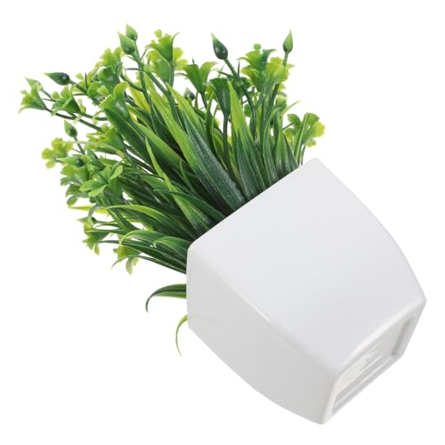 VALICLUD ^lHϗtA vX`bNtFCNO[ pA CeA ItBX⎩fXN AȎƎR