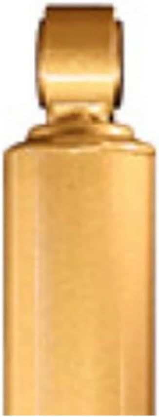 Koni For Ford E-350/E-450 1992-2016 FSD Kit Gold RV Front Shock | 8805 1042