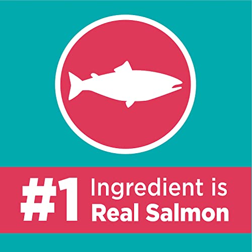 Iams Proactive Health Adult Indoor Weight & Hairball Care Dry Cat Food With Salmon, 16 Lb. Bag #TOP2