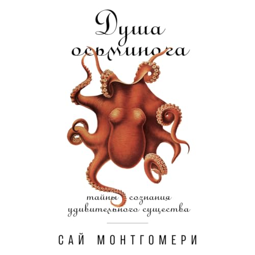Diseño de la portada del título Душа осьминога [The Soul of an Octopus]
