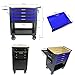 LULUINSHINE 4 Drawers Multifunctional Tool CART with Wheels and Wooden TOP (Black+Blue + Metal)