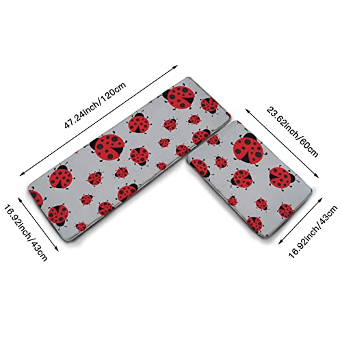Youtary Cute Red Ladybug Cartoon Pattern Kitchen Rug Set 2 Pcs Floor Mats Washable Non-Slip Soft Flannel Runner Rug Doormat Carpet For Floor Home Bathroom, 17" X 47"+17" X 24"-M #TOP1