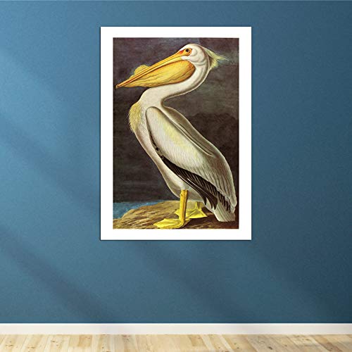 Impression d'art encadrée Pelican de John James Audubon format Grand Mat